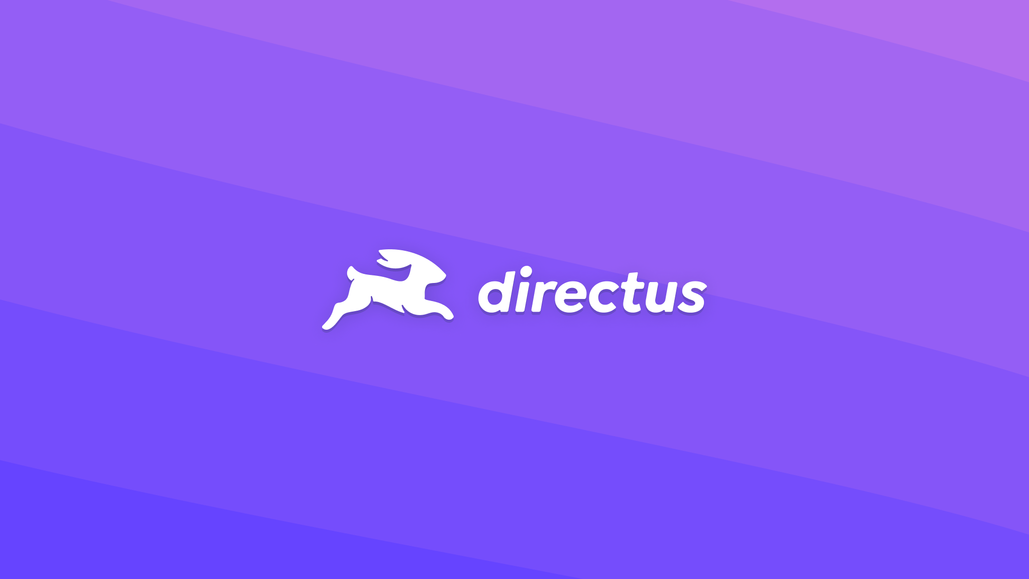 Directus Banner 1